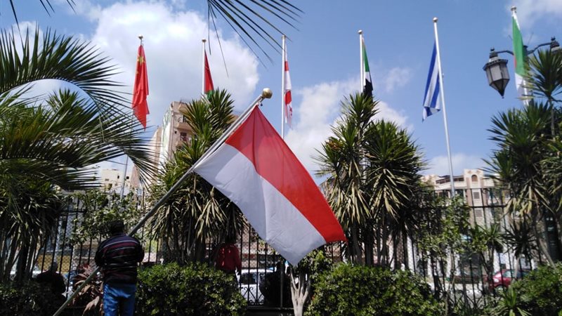 مهرجان دمنهور