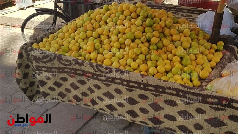 أسعار الخضروات في