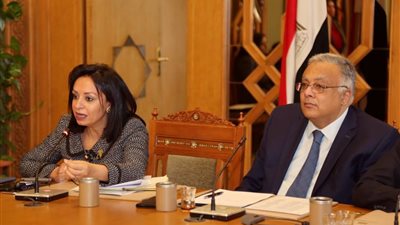 مايا مرسي تشكر «الخارجية» للتصديق على أول منظمة للمرأة 