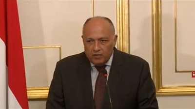 وزير الخارجية: مصر تسعى لخروج المنطقة من حالة العنف والتوتر 