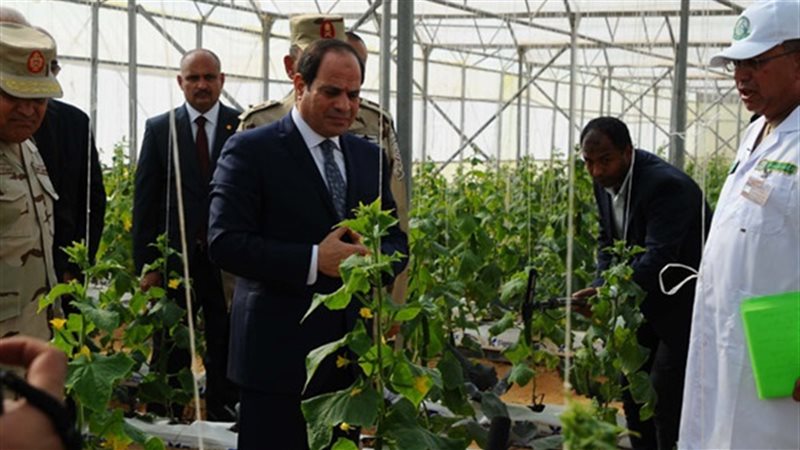 مشروع الصوب الزراعية