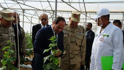 نقيب الفلاحين بالفيوم: الصوب الزراعية تخفف الأسعار عن كاهل المواطن