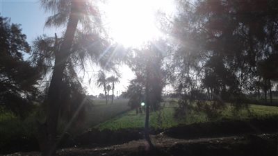 «الجو حار».. تعرف على حالة الطقس اليوم ببني سويف