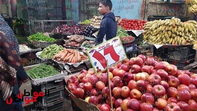 أسعار الفاكهة اليوم الأحد 7 إبريل 2019 في سوق العبور