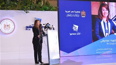 وزيرة التضامن تشيد بجهود الهجرة في إطلاق مؤسسة«مصر تستطيع»