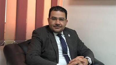 «شباب الأعمال»: التعديلات الدستورية خطوة رائدة في طريق المستقبل 