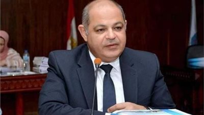 محافظ الغربية يشارك في احتفالية يوم اليتيم 2019 بحديقة الطفل