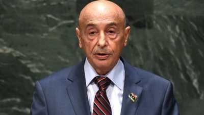 «النواب الليبي»: عملية تحرير طرابلس تتم وفقا للدستور 