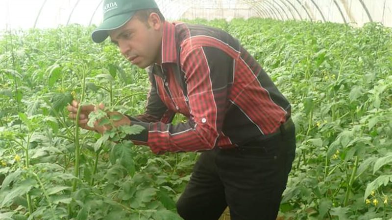 مشروع الصوب الزراعية