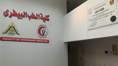 غدًا.. جامعة بنها تطلق يوم الصداقة البيطري الأول بمشاركة 7 جامعات