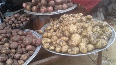 تعرف على أسعار الخضروات بأسواق بني سويف اليوم