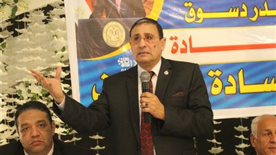 أمين الحركة الوطنية:التعديلات الدستورية قادرة على مواجهة التحديات
