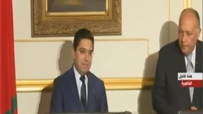 عضو المجلس المصري للشئون الخارجية: أفريقيا في أشد الحاجة لدعم مصر