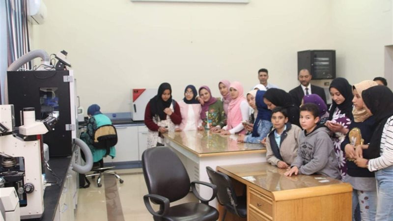 جامعة كفر الشيخ