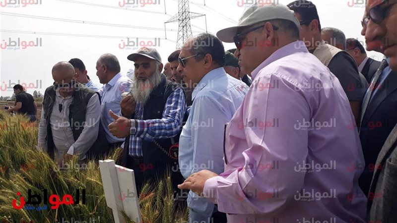 وزير الزراعة في كفر