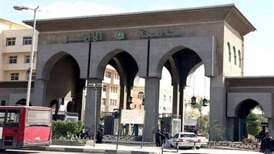 تفاصيل إلغاء تصريح خطابة «أستاذ خلع الملابس» في جامعة الأزهر
