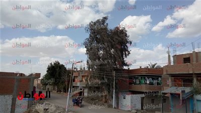 حالة الطقس اليوم الثلاثاء.. تغيرات في الأحوال بالفيوم