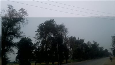 سحب منخفضة وغيوم بأحوال الطقس ببني سويف 