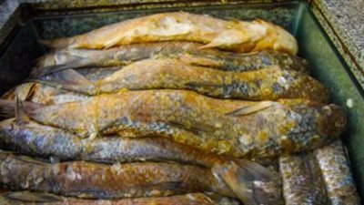 ضبط 31 طن أسماك غير صالحة للاستهلاك الآدمي