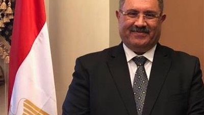 التعديلات الدستورية| قنصل مصر بجدة: الناخبين تواجدوا قبل فتح اللجان