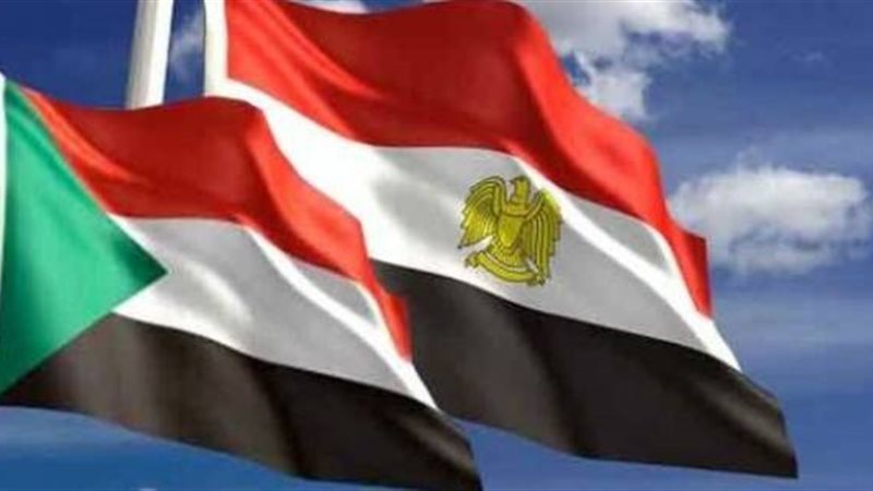 زيارة الوفد المصري