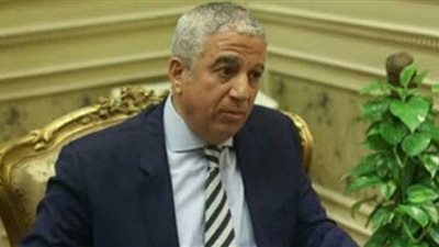 هذا تعليق رئيس خارجية النواب على تصويت المصريين في الخارج 