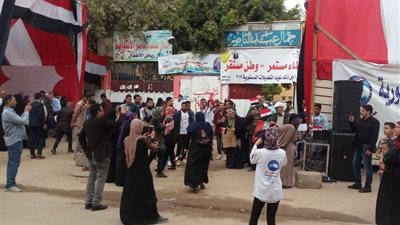 «الأعلي للإعلام» يتابع التغطية الإعلامية داخل لجان الاستفتاء