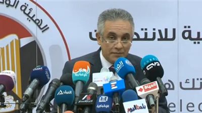 محمود الشريف: الاستفتاء على التعديلات الدستورية لفت أنظار العالم 