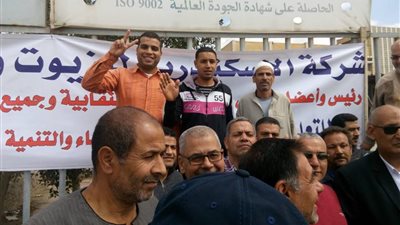 صور|عمال شركات كفرالزيات يشاركون فى الاستفتاء على الدستور 