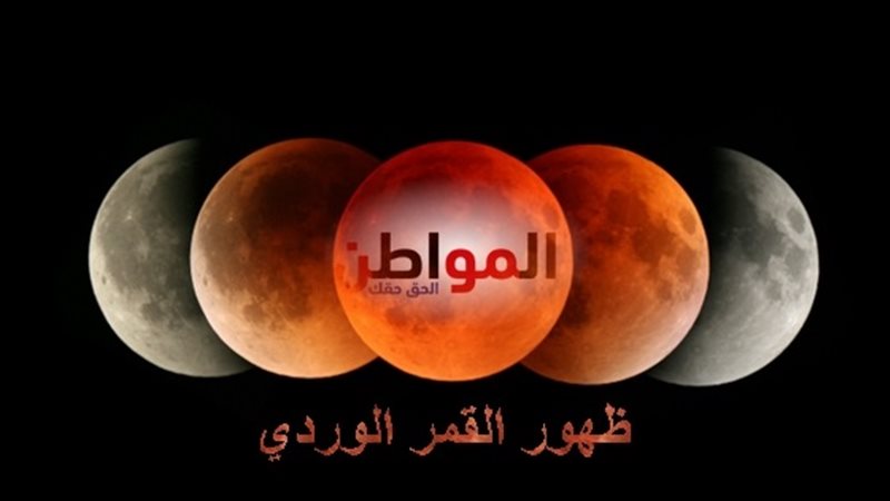 6 معلومات عن ظهور