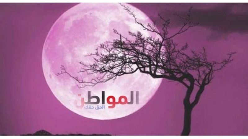 ظهور القمر الوردي