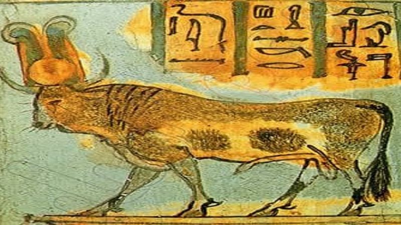 هذا سر تقديس الفراعنه