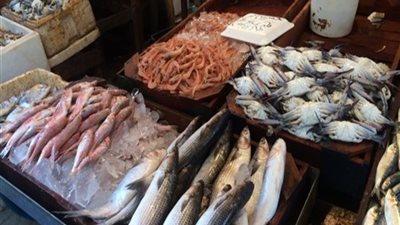 تعرف على أسعار السمك غدًا الثلاثاء في سوق العبور