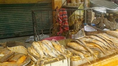 ضبط 380 كيلو أسماك غير صالحة للاستهلاك الآدمي بالإسكندرية