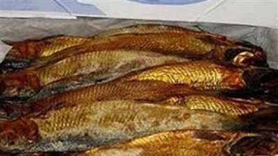 ضبط صاحب محل بحوزته طن ونص أسماك غير صالحة بالجيزة