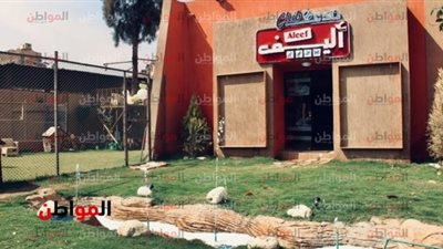 «أليف» تفاصيل أول كافية للكلاب والقطط بنادي الشمس 