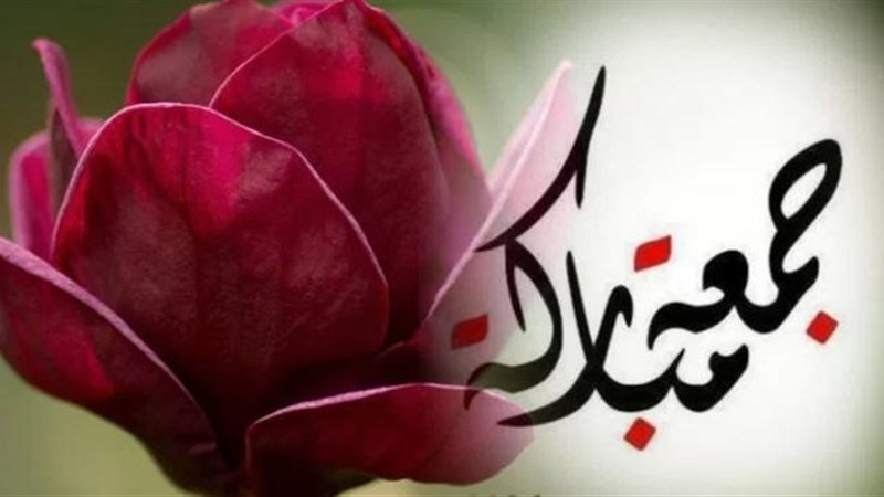  موقع تويتر 
