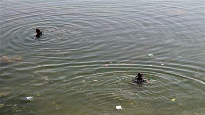 ضحايا نهر النيل في تزايد.. مصرع شخصين غرقًا خلال احتفالهما بـ «شم النسيم»