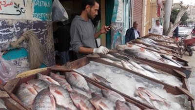 اكتشف التوقعات الجديدة في أسعار السمك غدا الأربعاء في سوق العبور