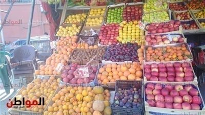 فيديو| «خد فكرة».. أسعار الخضراوات والفاكهة في الأسواق اليوم
