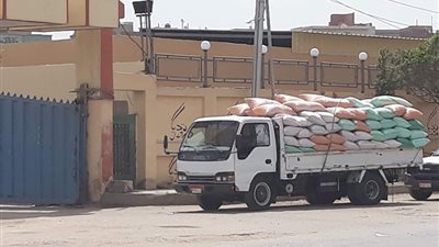 توريد 11 ألف طن قمح للشون والصوامع بكفرالشيخ 