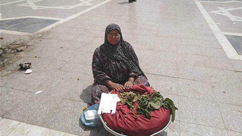 بائعة التوت 