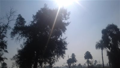 الطقس اليوم| الشمس تشرق على بني سويف.. واستقرار أحوال الجو
