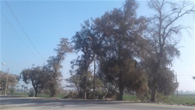 انخفاض درجات الحرارة ببني سويف اليوم الأربعاء ثالث أيام رمضان
