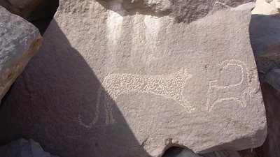  «الأعلى للآثار» يعلن عن كشف أثري جديد في أسوان 