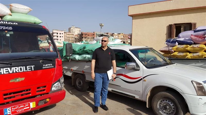 توريد القمح
