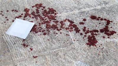 دماء على الأسفلت.. حادث مروع ينتهي بجثتين ومصاب بالغربية