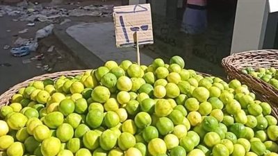 «أنهيار الدولار أمام الليمون المصري».. أرتفاع أسعاره يشعل التواصل الاجتماعي