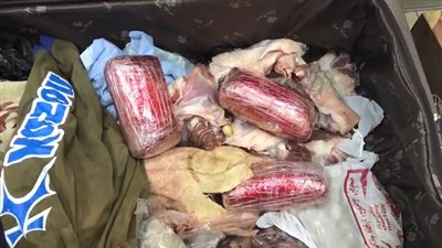 فيديو| إحباط محاولة تهريب 18600 قرص مخدر داخل حقيبة مأكولات