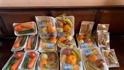 شباب برأس غارب توزع وجبات غذائية على مرضى كورونا بالعزل